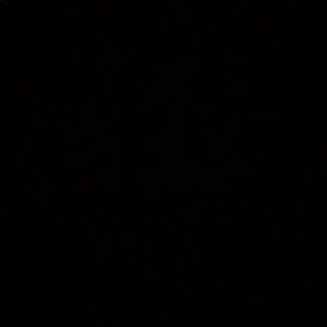 Meet your Posher, Freddy